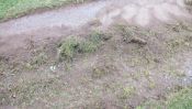 IMG_1279.JPG
