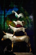 DSC00902.jpg