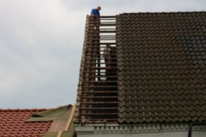 IMG_5142.JPG