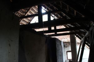 IMG_5154.JPG