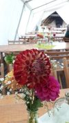 IMG-20210913-WA0006.jpg