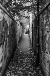 XGünther Strasse.jpg