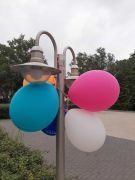 IMG-20210913-WA0010.jpg