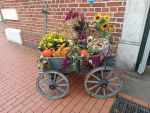 IMG-20231120-WA0002.jpg