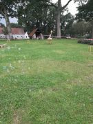 IMG-20210913-WA0009.jpg