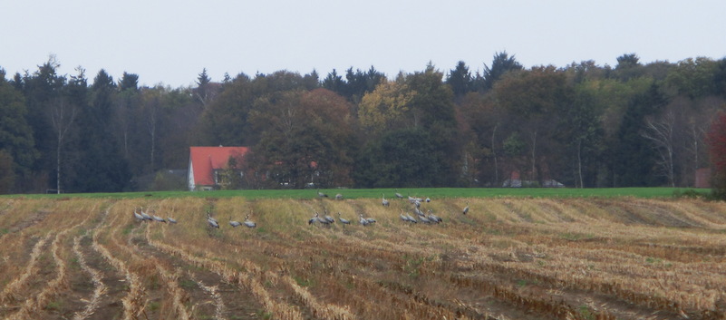 Erntezeit