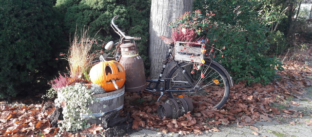 Herbstliches in Adolphsdorf